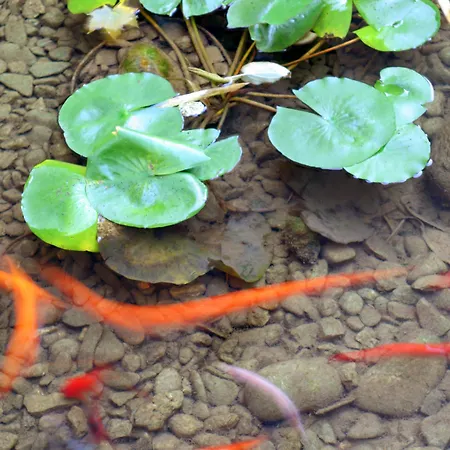 Maternushaus 호텔 쾰른