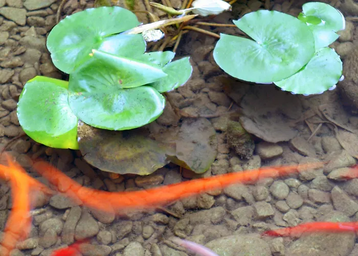 Maternushaus Otel Köln